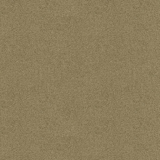 Acquire BR-89778-931 Autun Mohair Velvet Cobblestone Solid by Brunschwig & Fils Fabric
