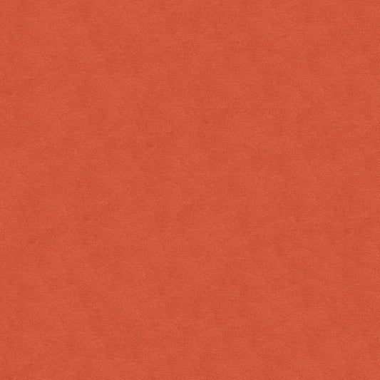 Buy BR-89779-103 Lubeck Cotton Velvet Shell by Brunschwig & Fils Fabric