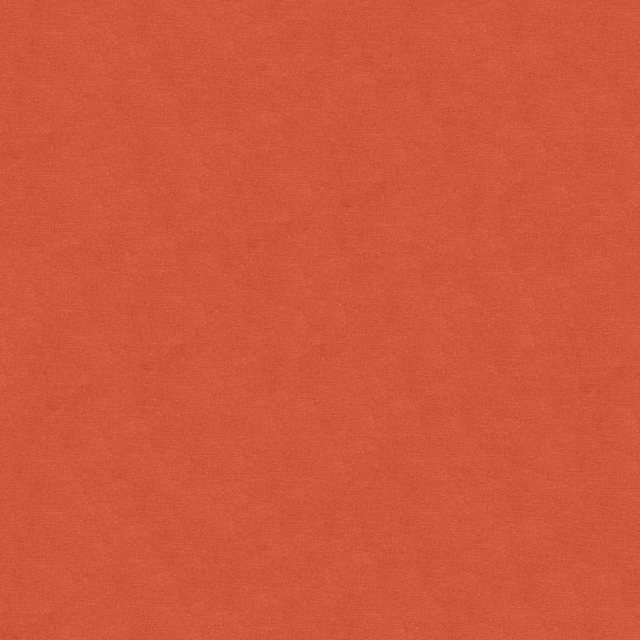 Sample BR-89779-103 Lubeck Cotton Velvet Shell Brunschwig and Fils Fabric