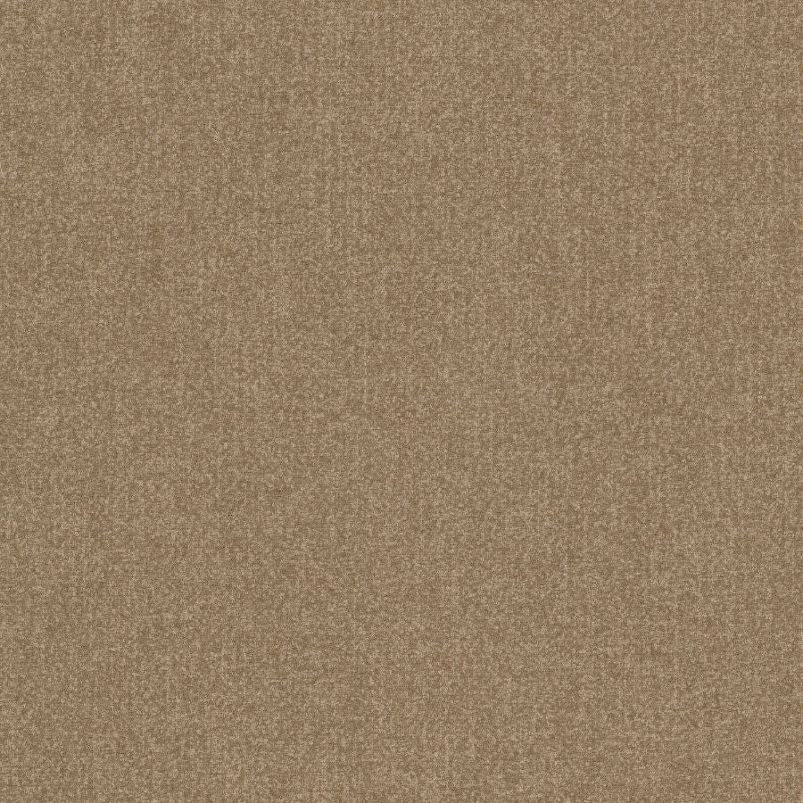 Purchase Stout Fabric Item# Brevity 2 Camel