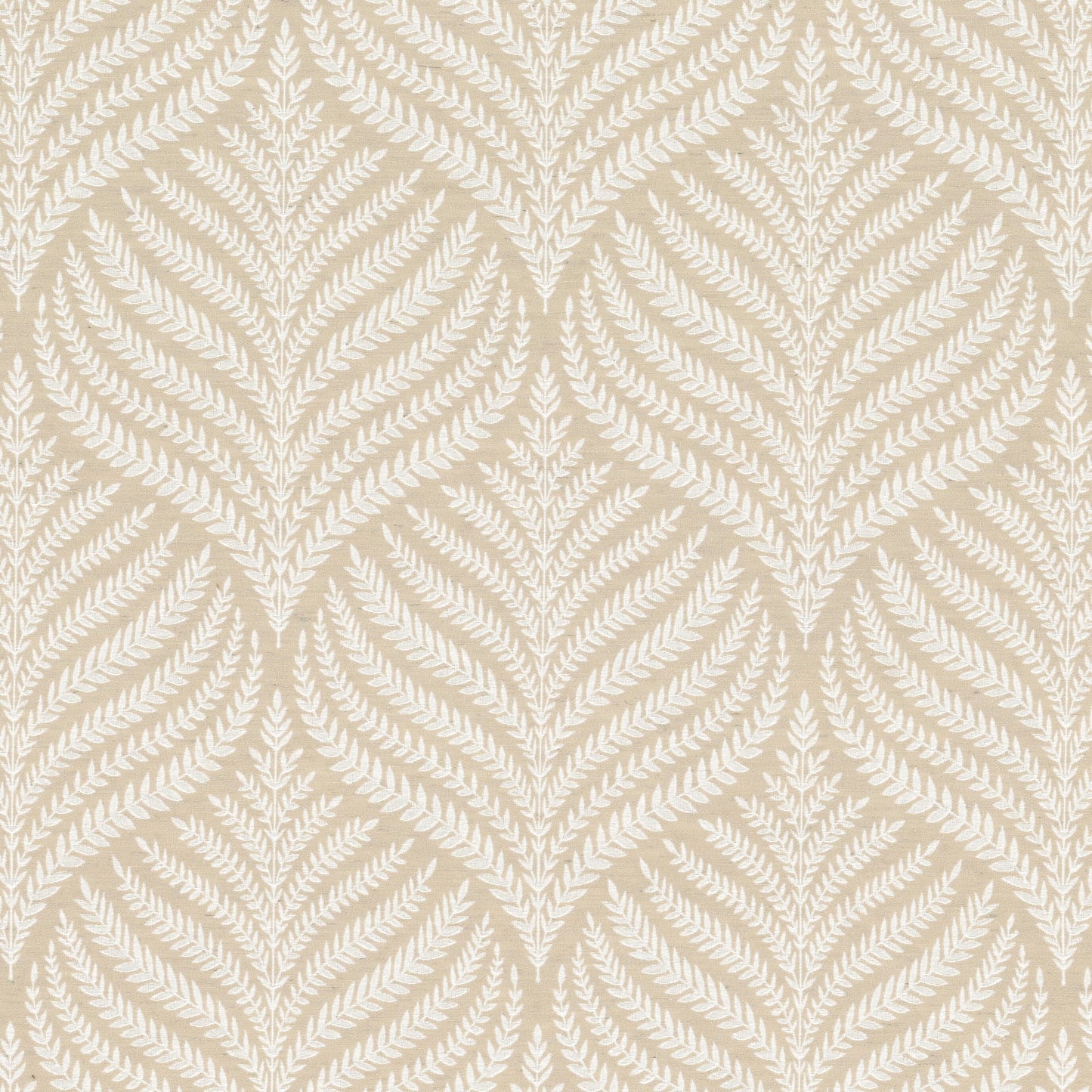 Purchase Stout Fabric Pattern Cadence 2 Bisque