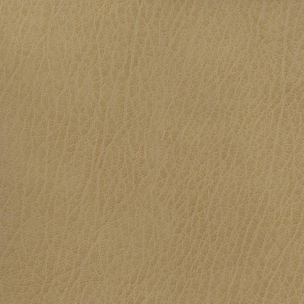 Sample - Celine.106.0 | Kravet Basics,  - Kravet Basics Fabric