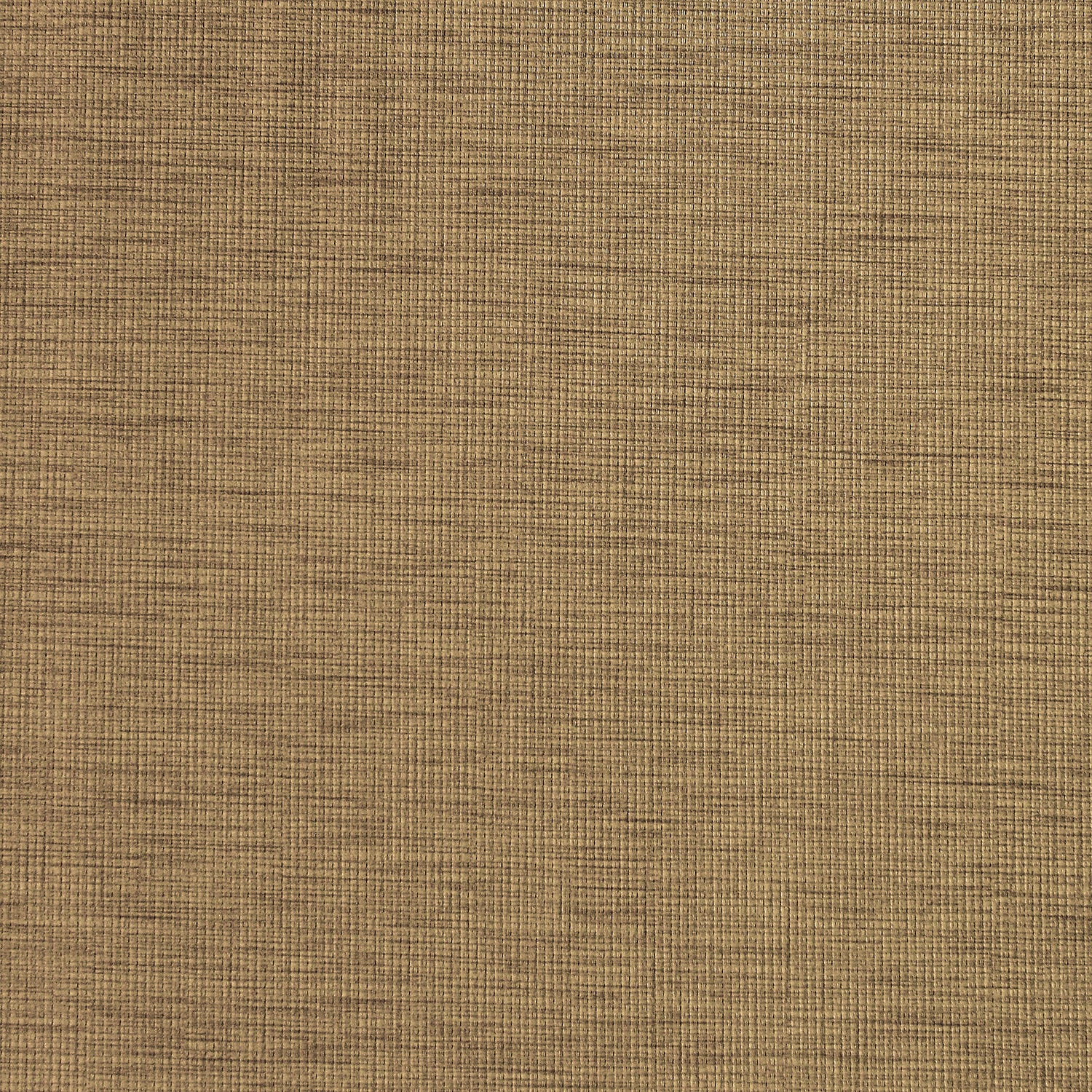 Purchase Maxwell Fabric - Cinema, # 726 Toffee