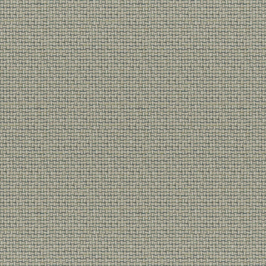 Caracara | # 830 Baltic - Maxwell Fabric