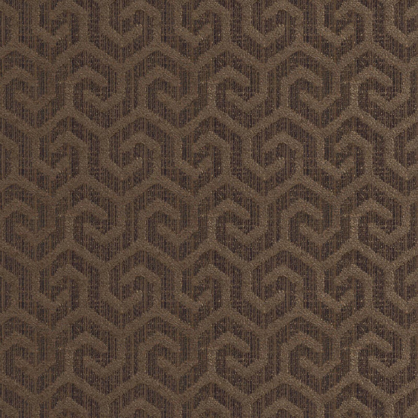 Purchase Maxwell Fabric - Camino, # 360 Pinecone