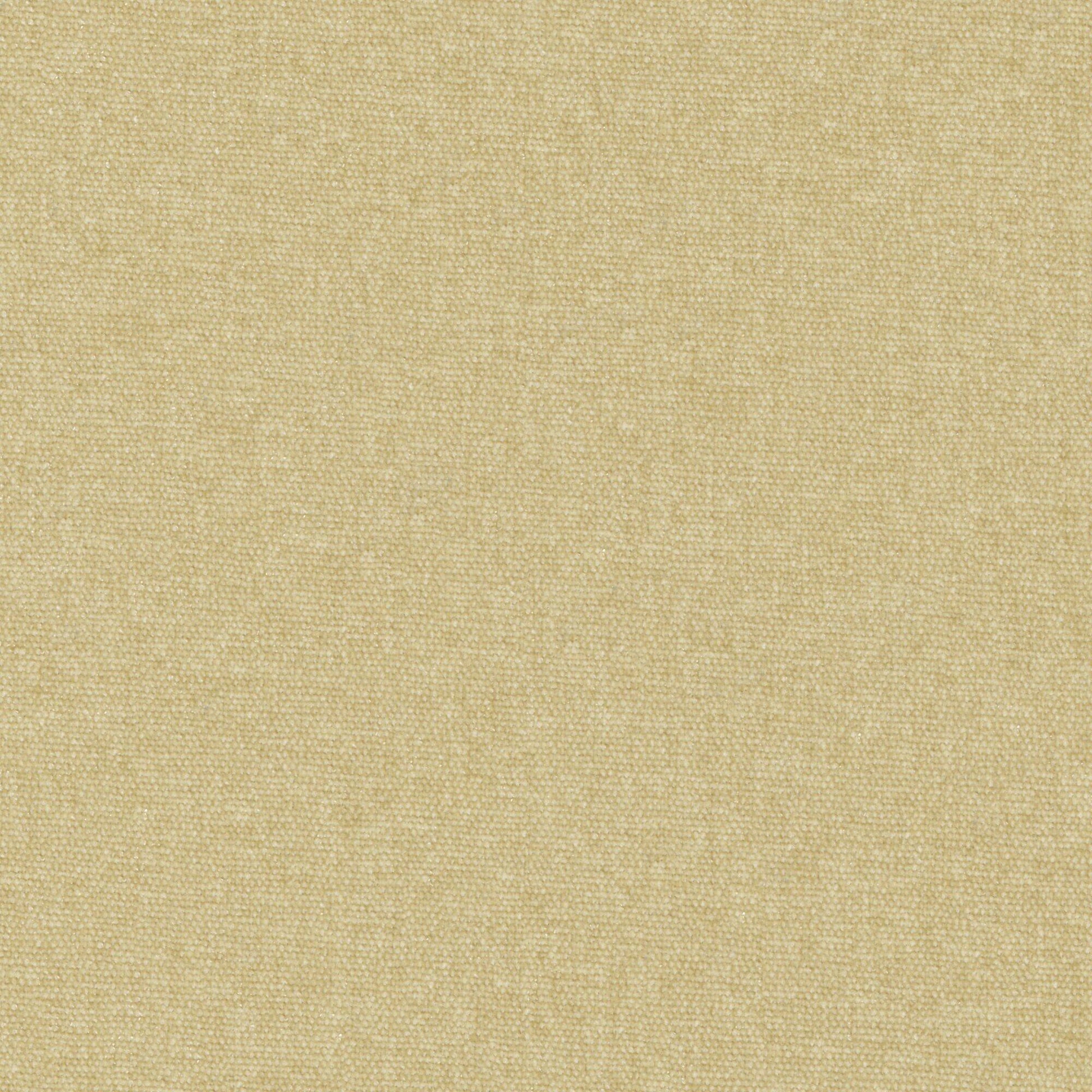 Purchase Maxwell Fabric - Conte, # 804 Oatmeal