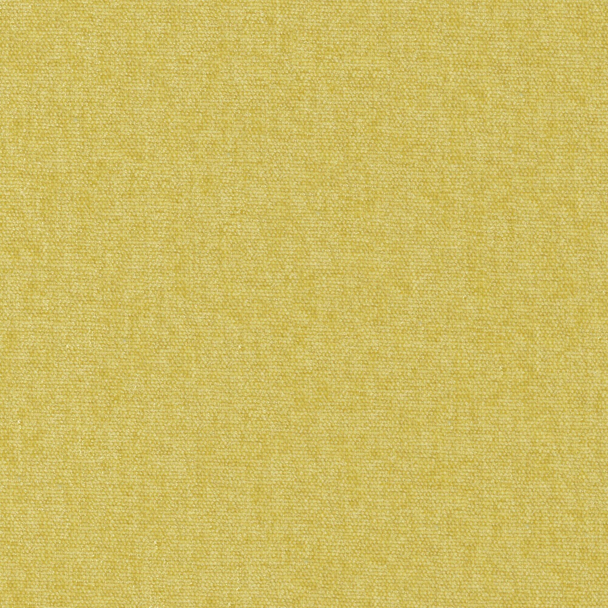 Purchase Maxwell Fabric - Conte, # 805 Linden