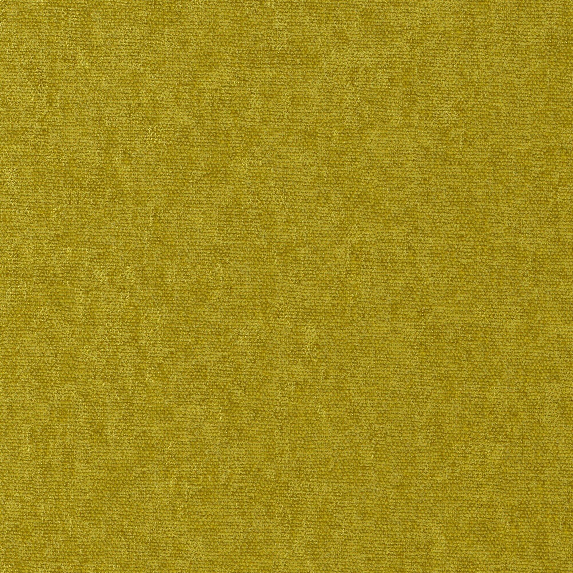 Purchase Maxwell Fabric - Conte, # 806 Turtle