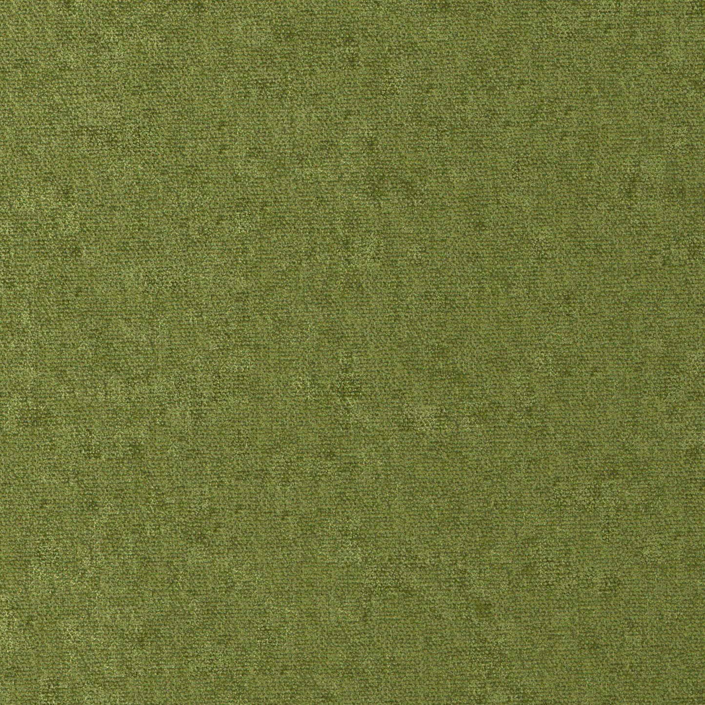 Conte | # 811 Grass - Maxwell Fabric