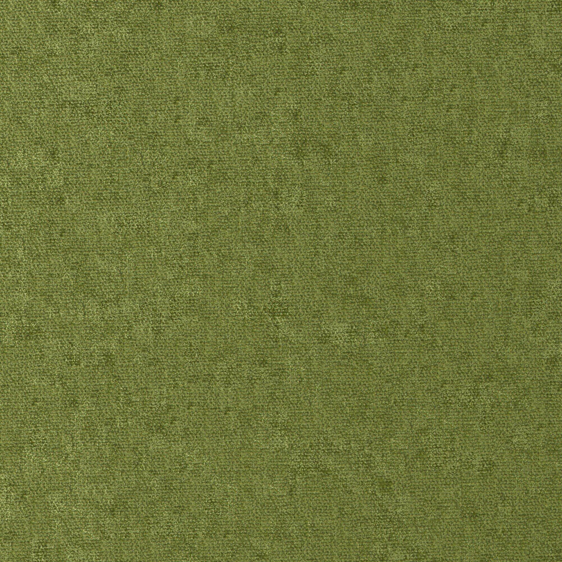 Purchase Maxwell Fabric - Conte, # 811 Grass