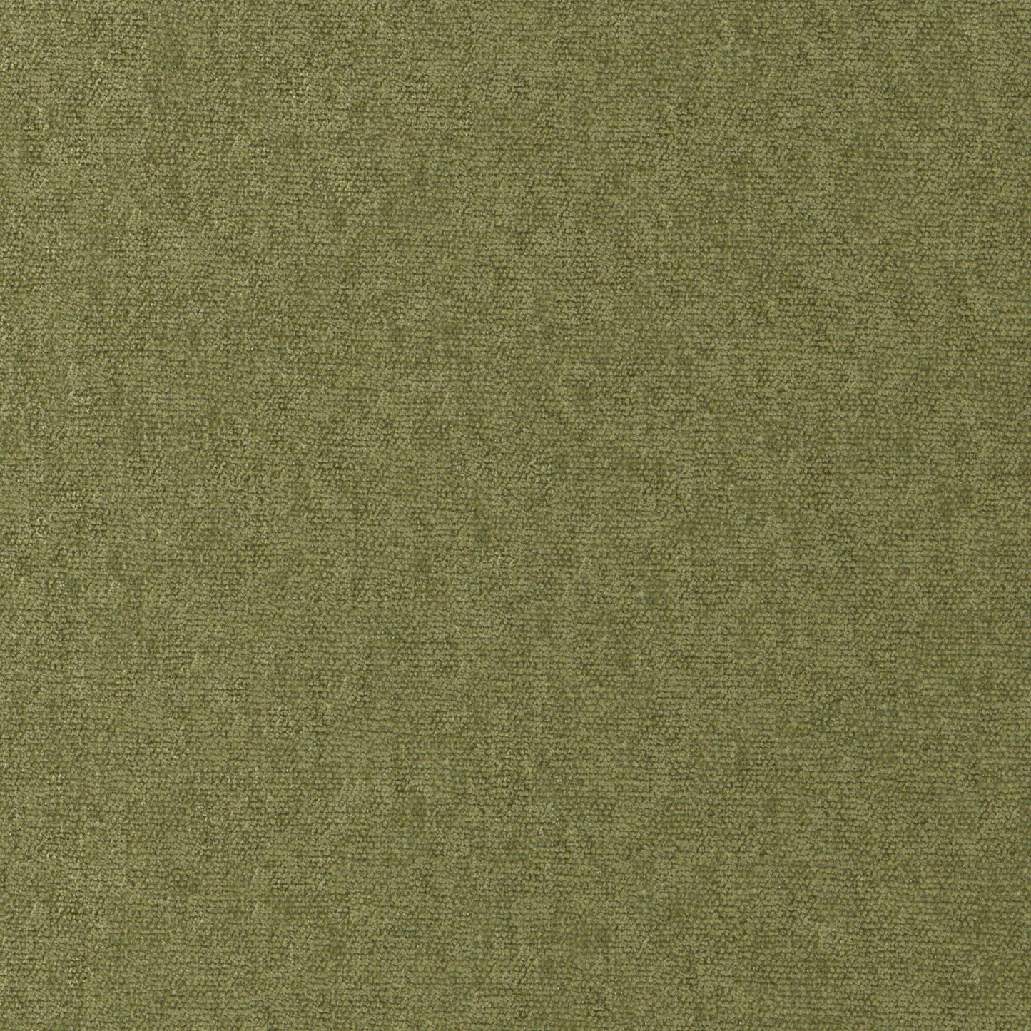 Conte | # 812 Olive - Maxwell Fabric