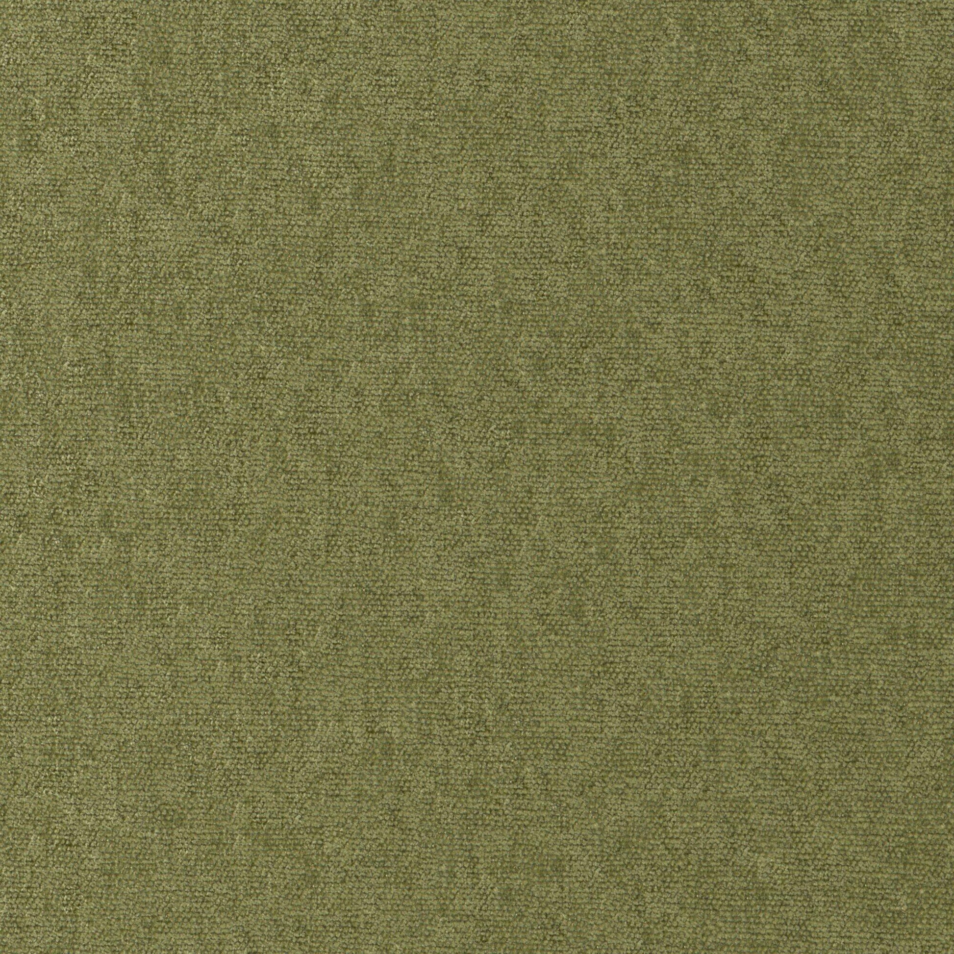 Purchase Maxwell Fabric - Conte, # 812 Olive