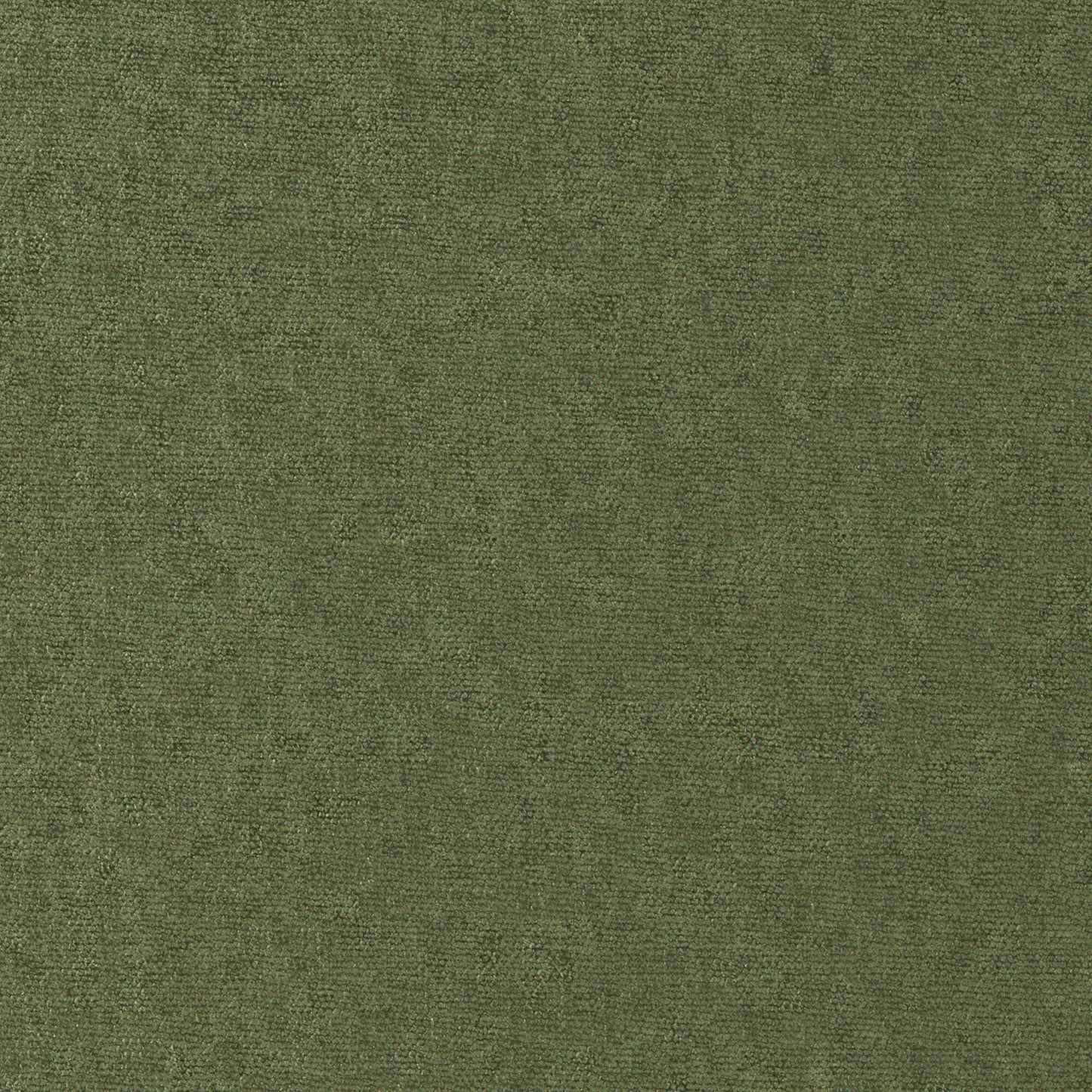Purchase Maxwell Fabric - Conte, # 815 Pesto