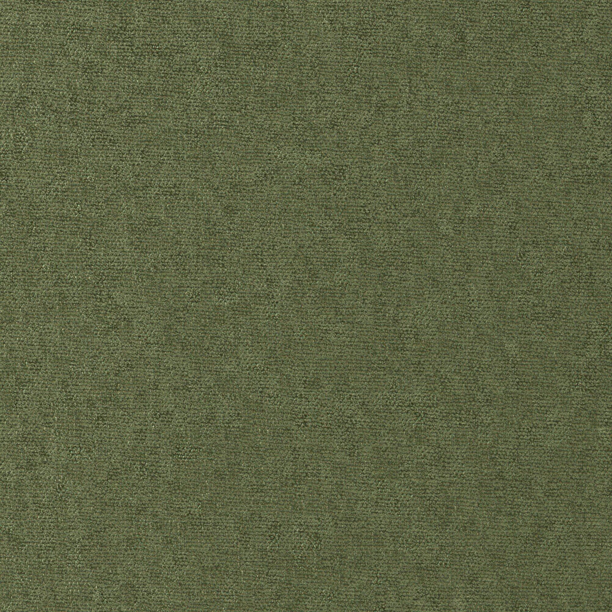 Purchase Maxwell Fabric - Conte, # 815 Pesto