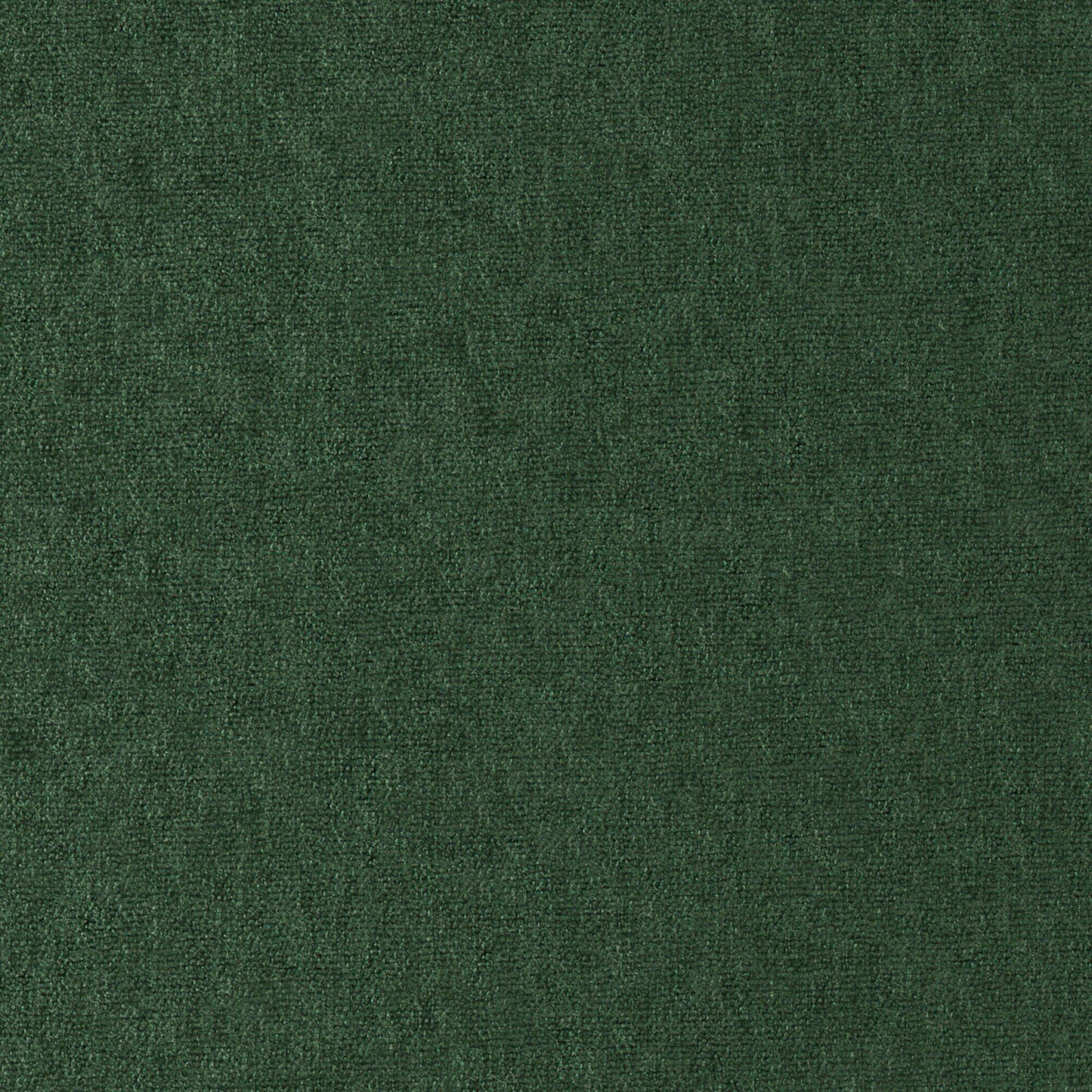 Purchase Maxwell Fabric - Conte, # 818 Balsam