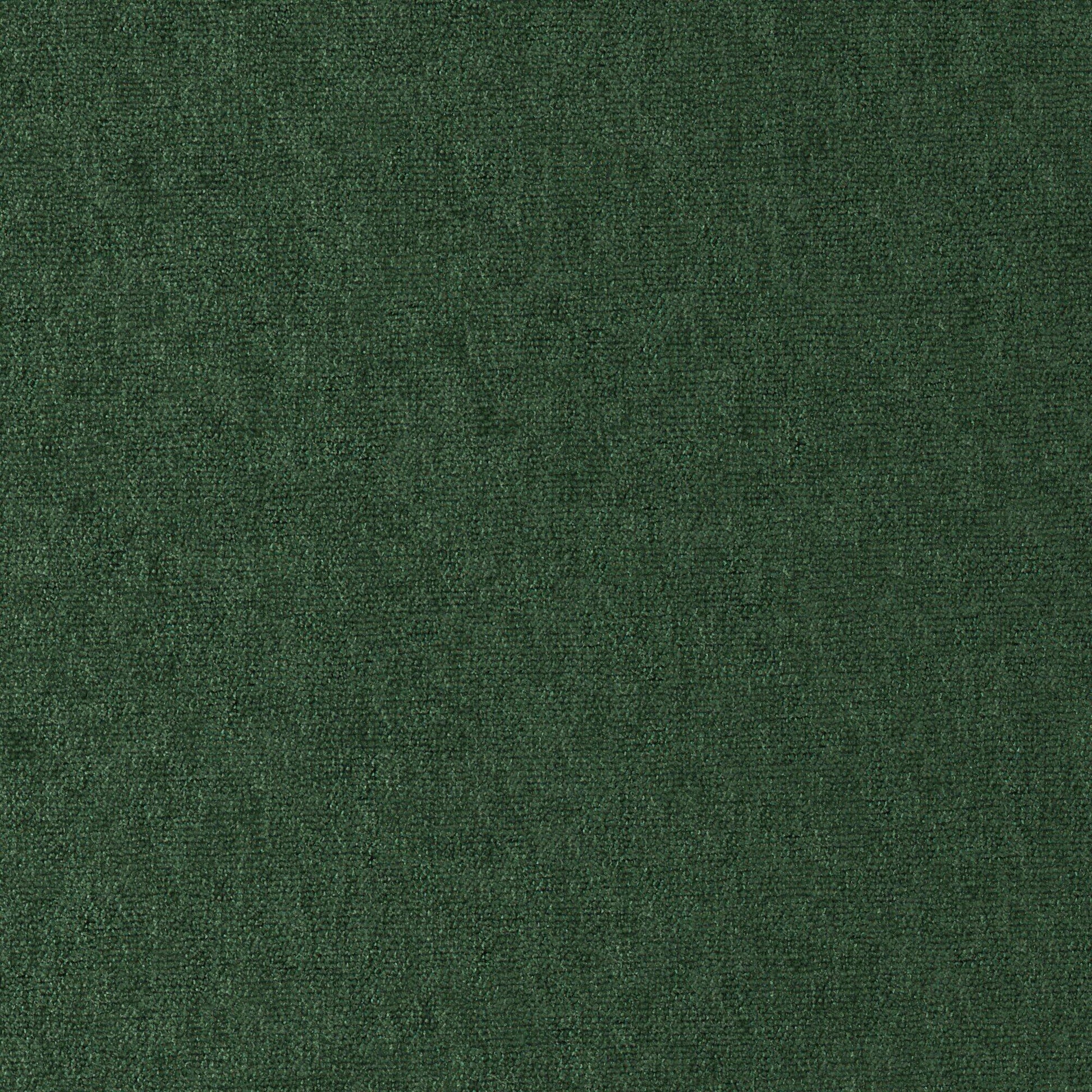Purchase Maxwell Fabric - Conte, # 818 Balsam