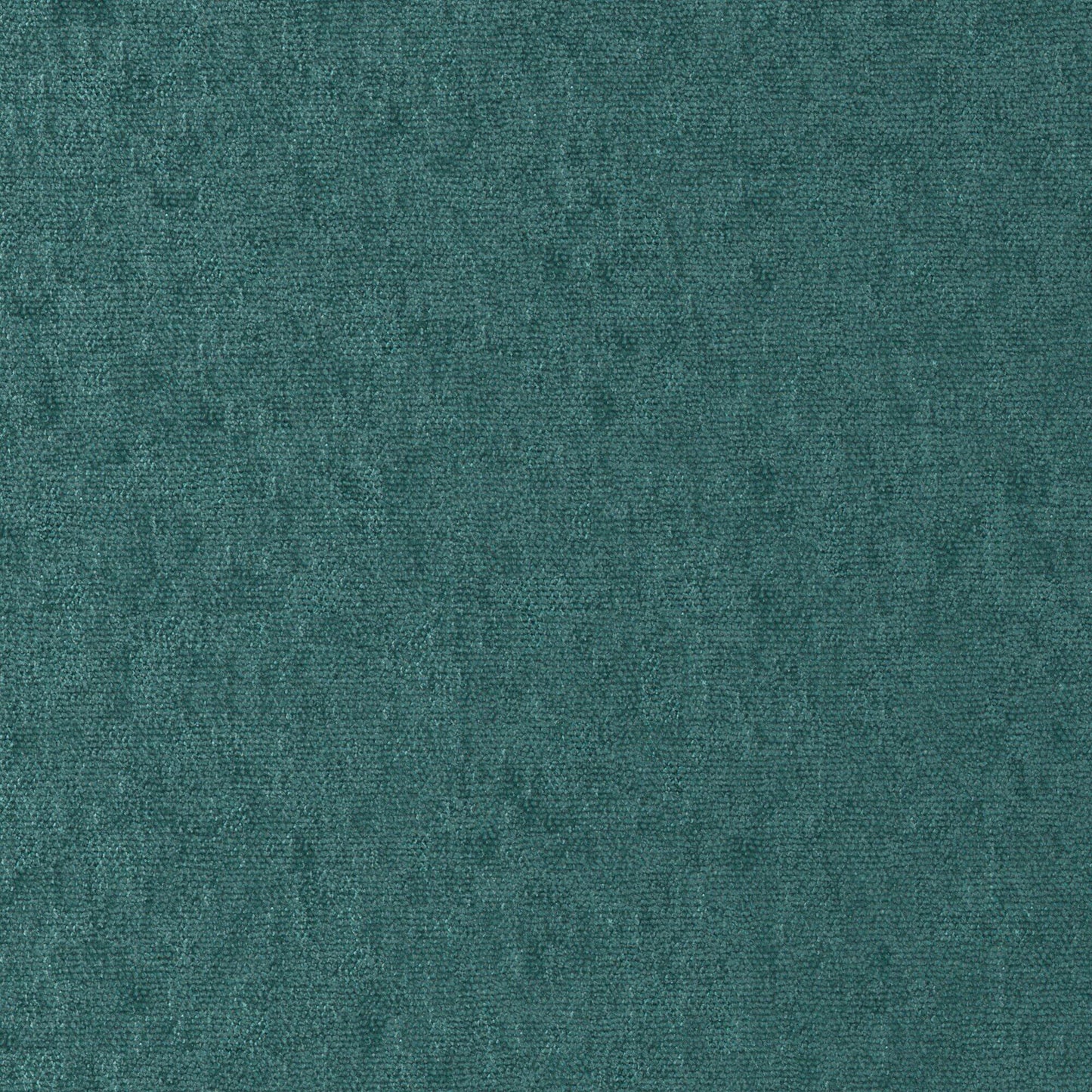 Purchase Maxwell Fabric - Conte, # 821 Aloe