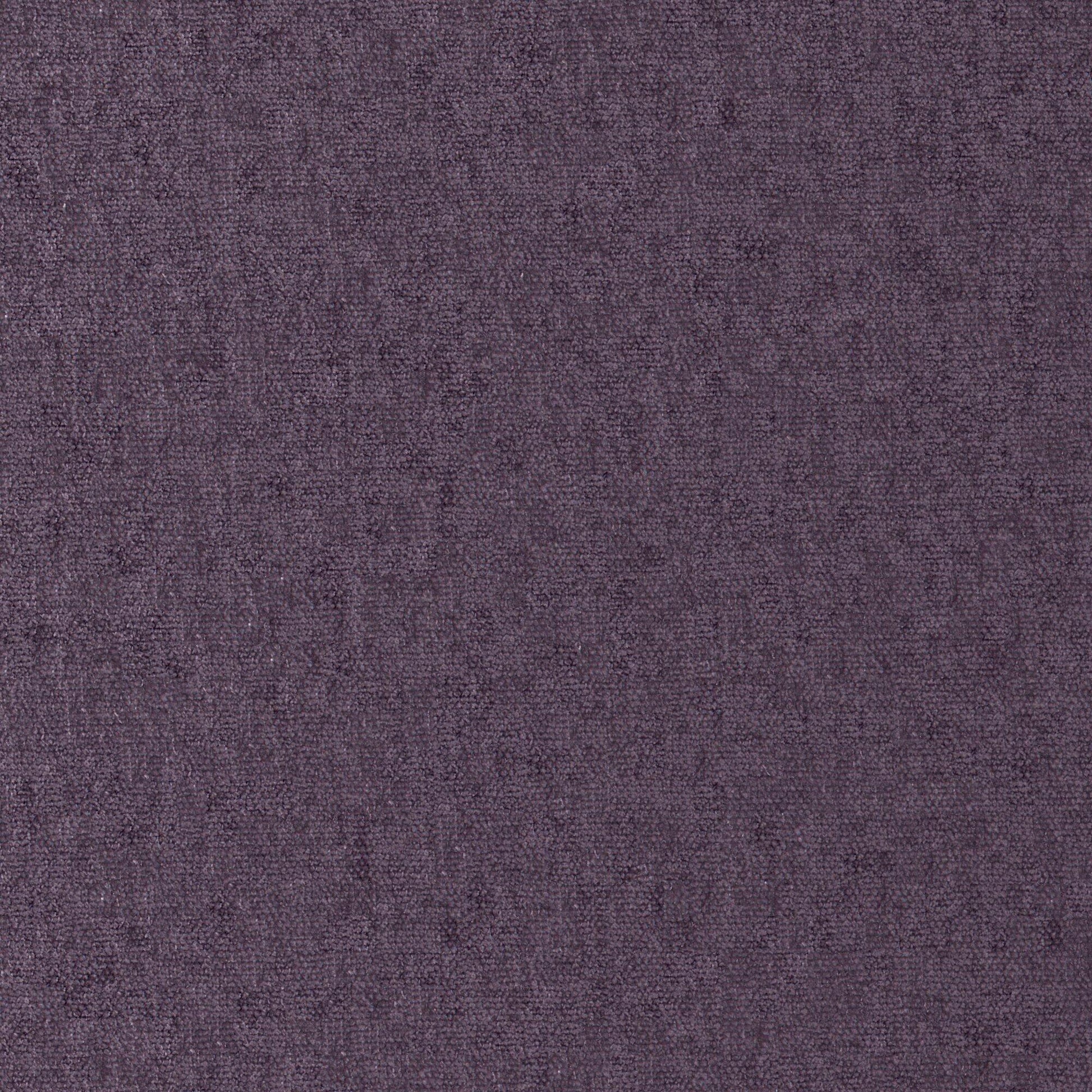 Purchase Maxwell Fabric - Conte, # 879 Fig