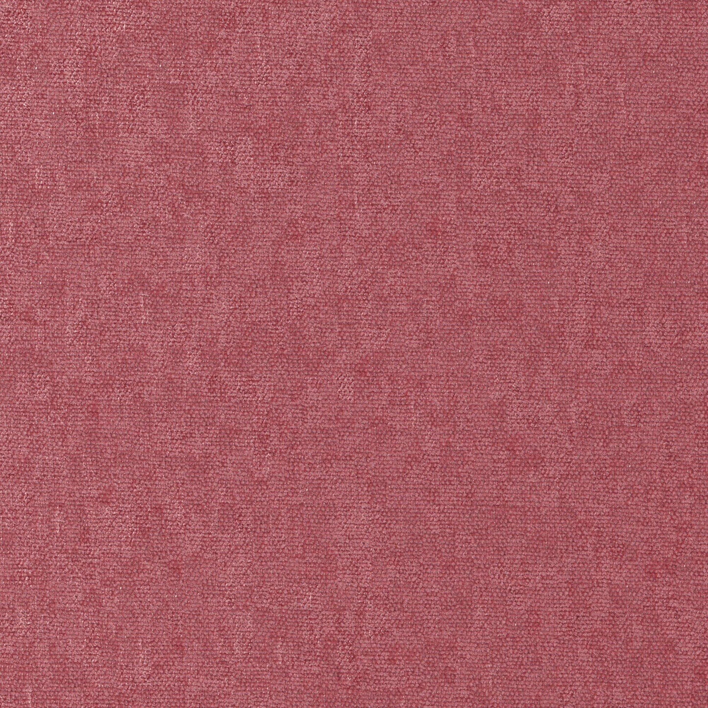 Conte | # 881 Peony - Maxwell Fabric