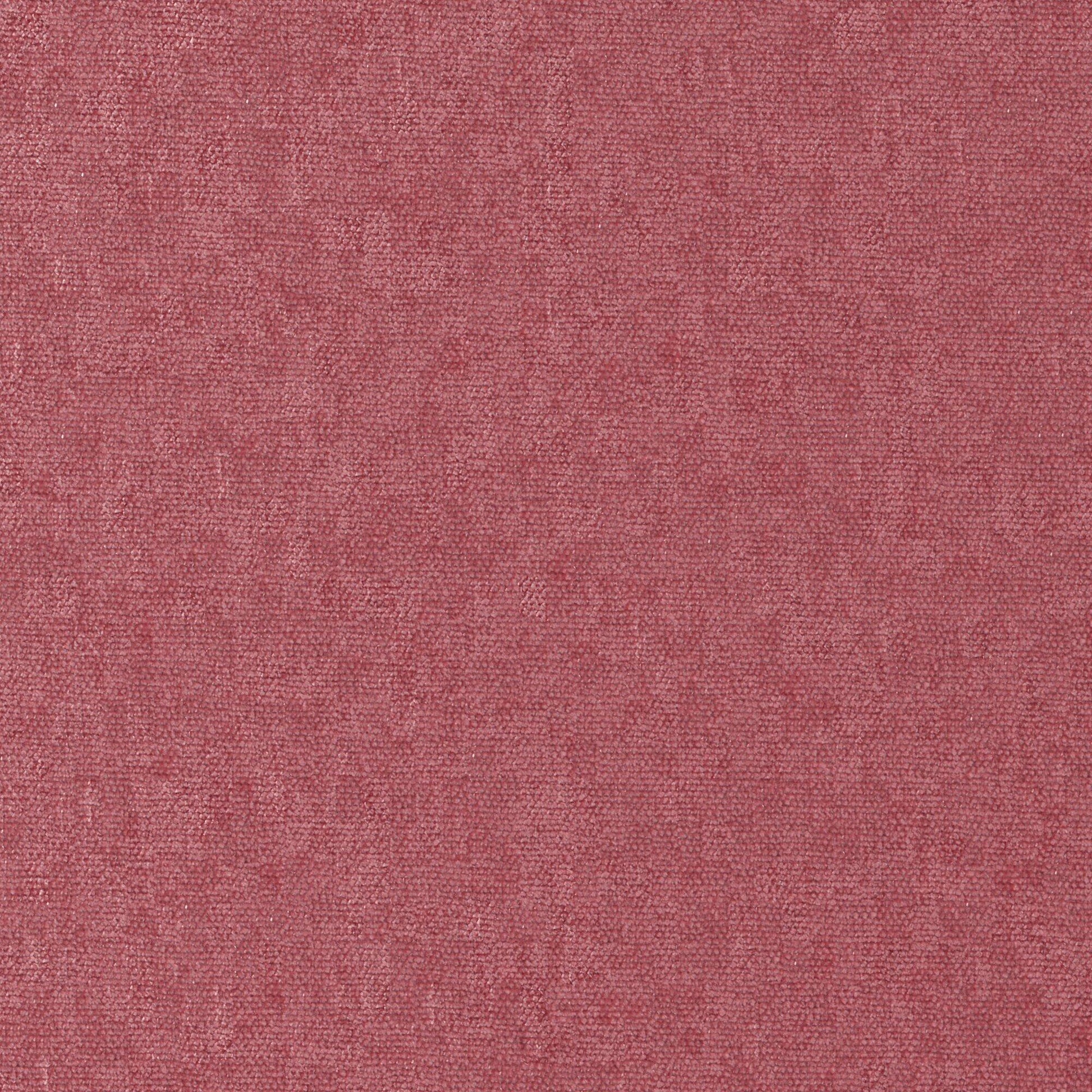 Purchase Maxwell Fabric - Conte, # 881 Peony