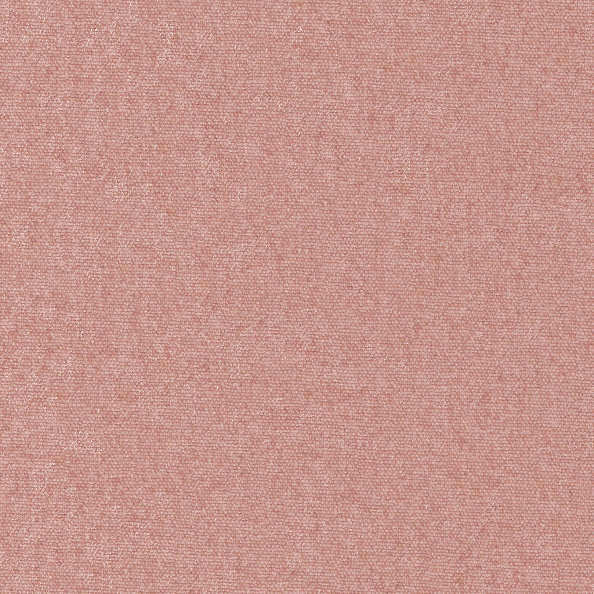 Purchase Maxwell Fabric - Conte, # 882 Blossom
