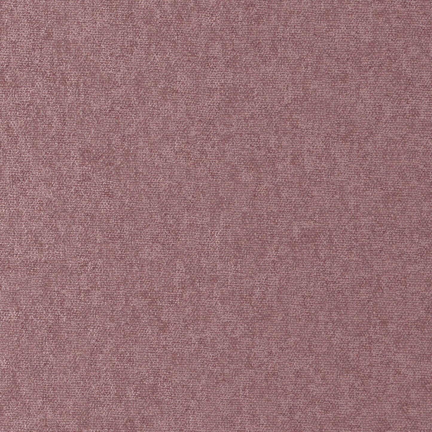 Conte | # 884 Orchid - Maxwell Fabric