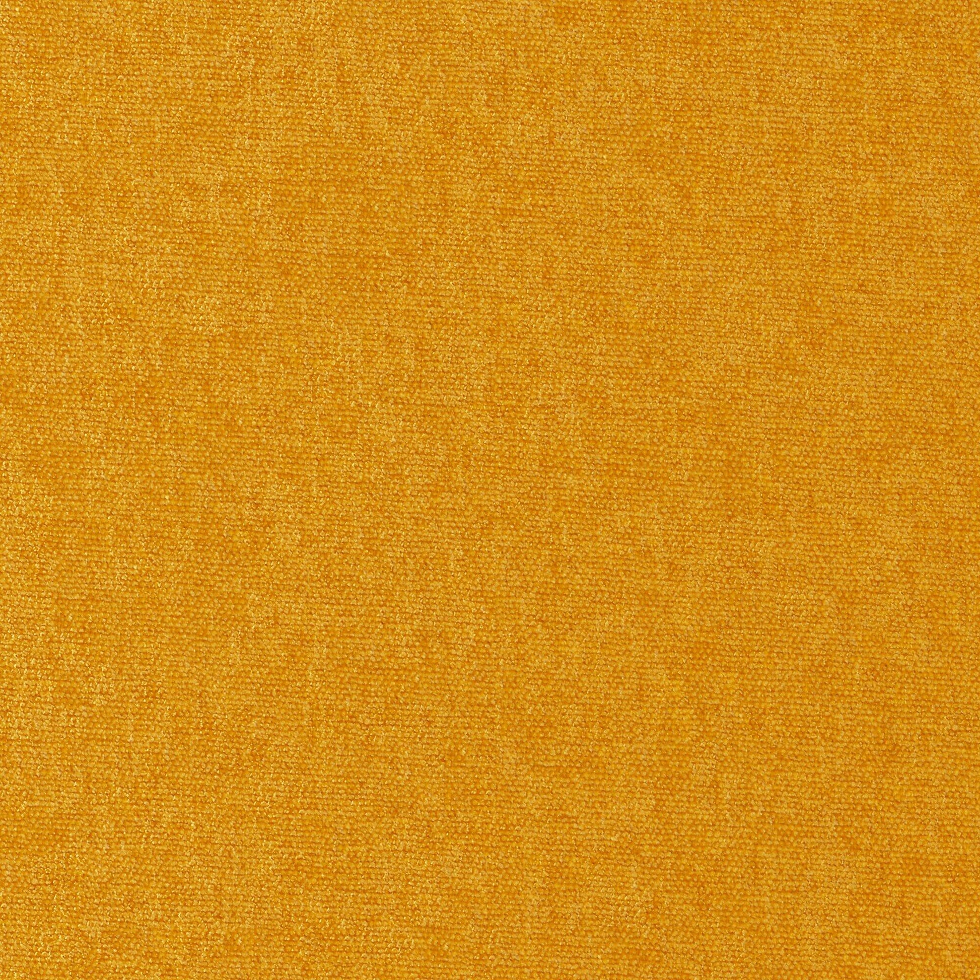Purchase Maxwell Fabric - Conte, # 900 Spice