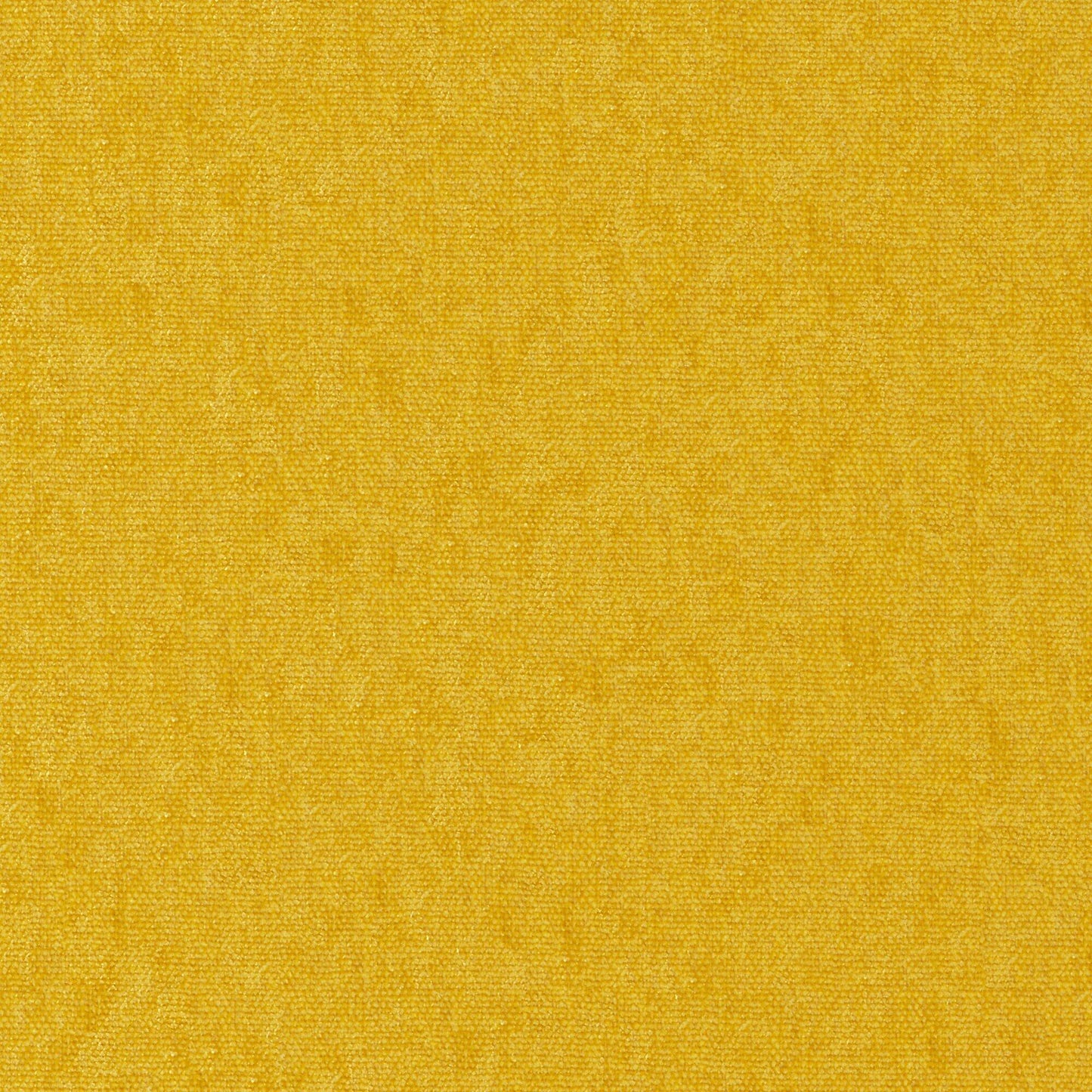 Purchase Maxwell Fabric - Conte, # 901 Sun