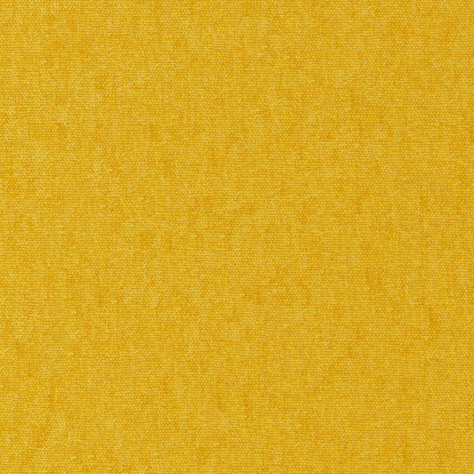 Purchase Maxwell Fabric - Conte, # 901 Sun
