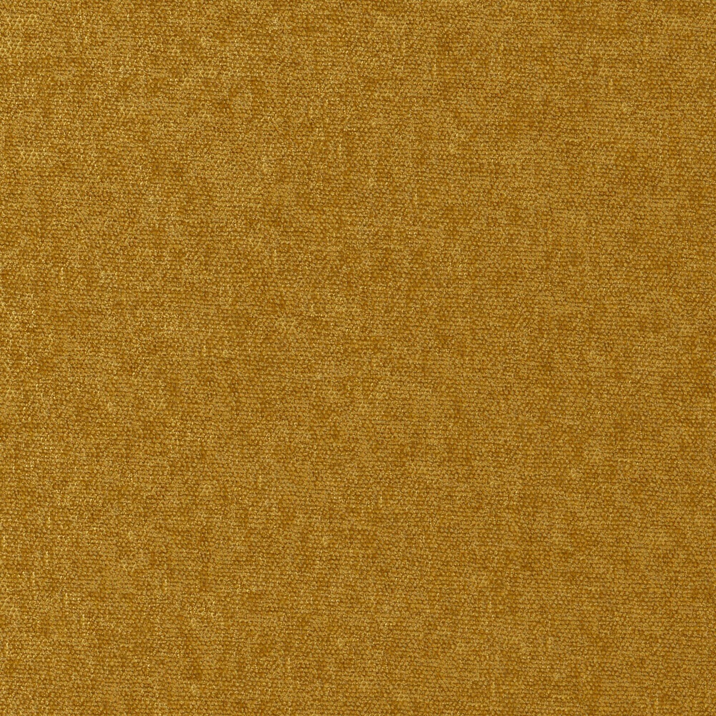 Conte | # 903 Butterscotch - Maxwell Fabric