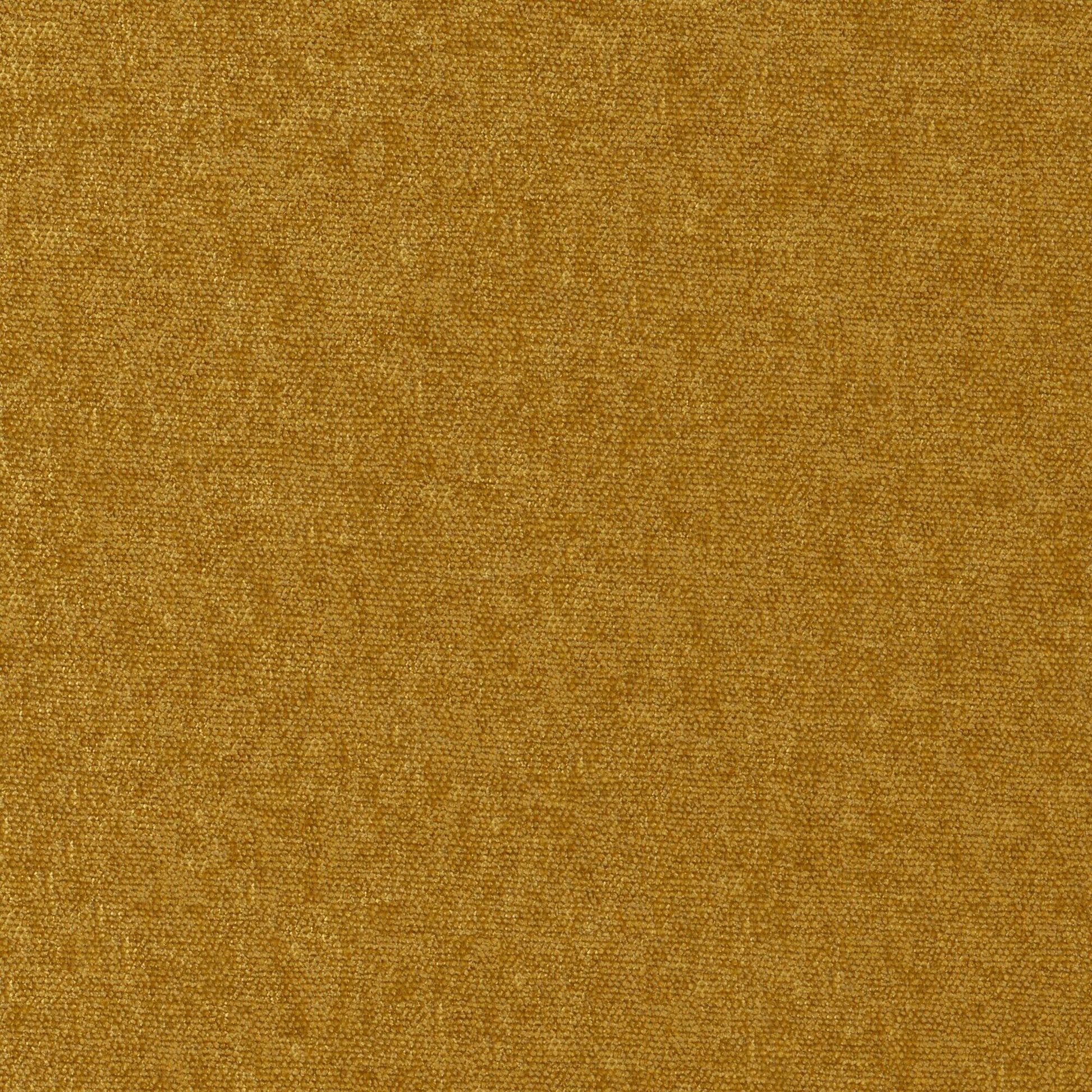 Purchase Maxwell Fabric - Conte, # 903 Butterscotch