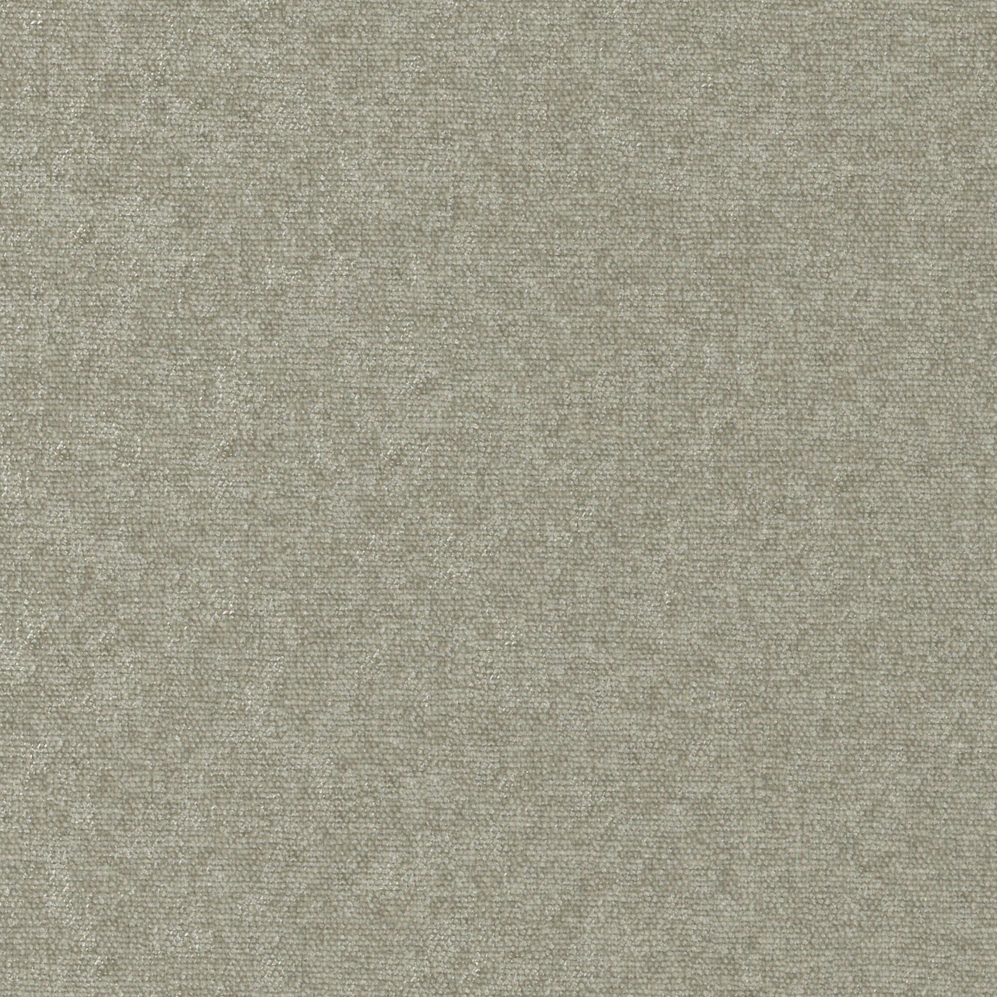 Purchase Maxwell Fabric - Conte, # 905 Funghi