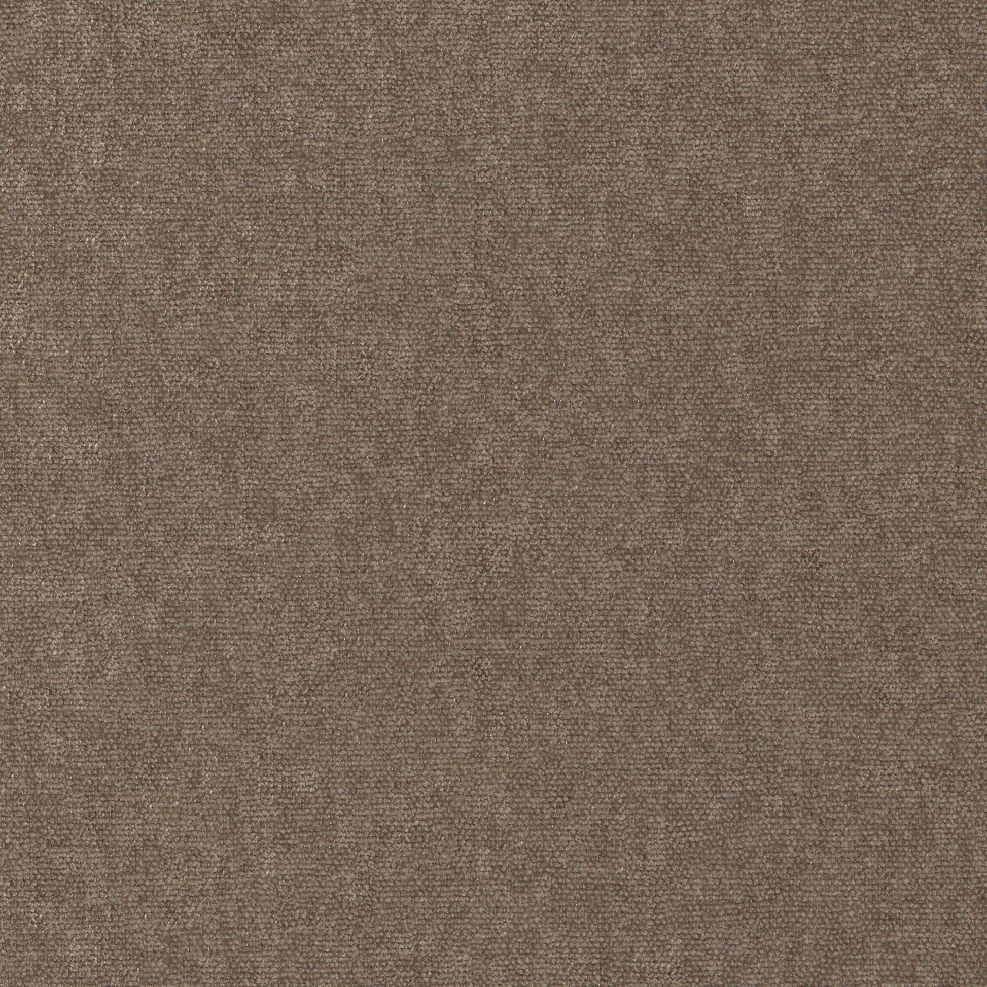 Purchase Maxwell Fabric - Conte, # 911 Beaver