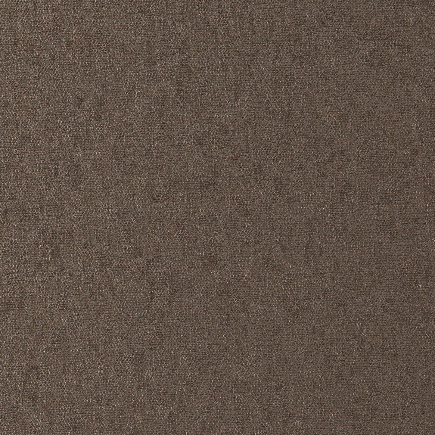 Conte | # 915 Chestnut - Maxwell Fabric