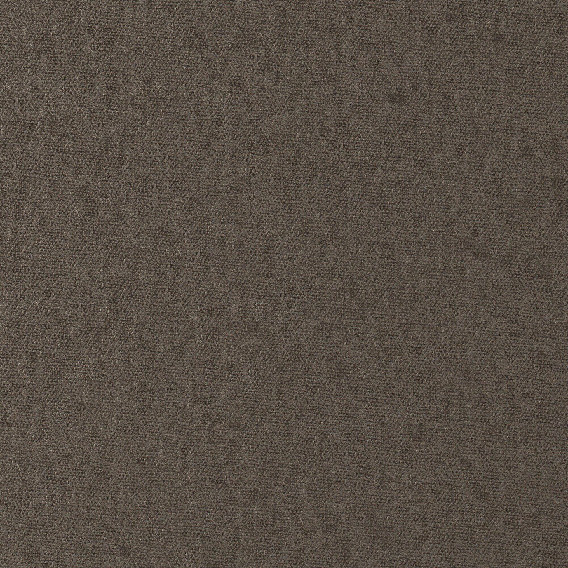 Purchase Maxwell Fabric - Conte, # 917 Smoke