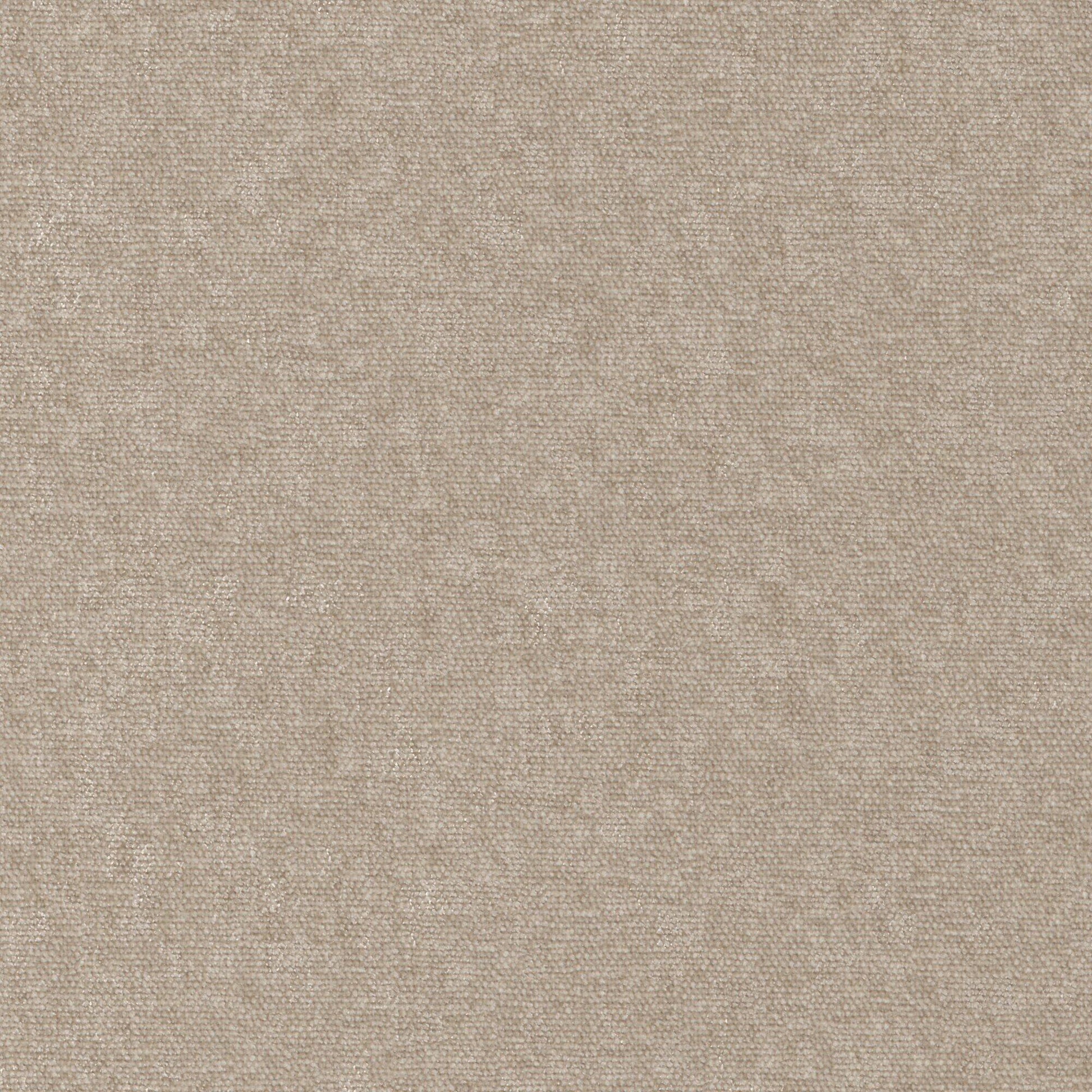 Purchase Maxwell Fabric - Conte, # 928 Taupe