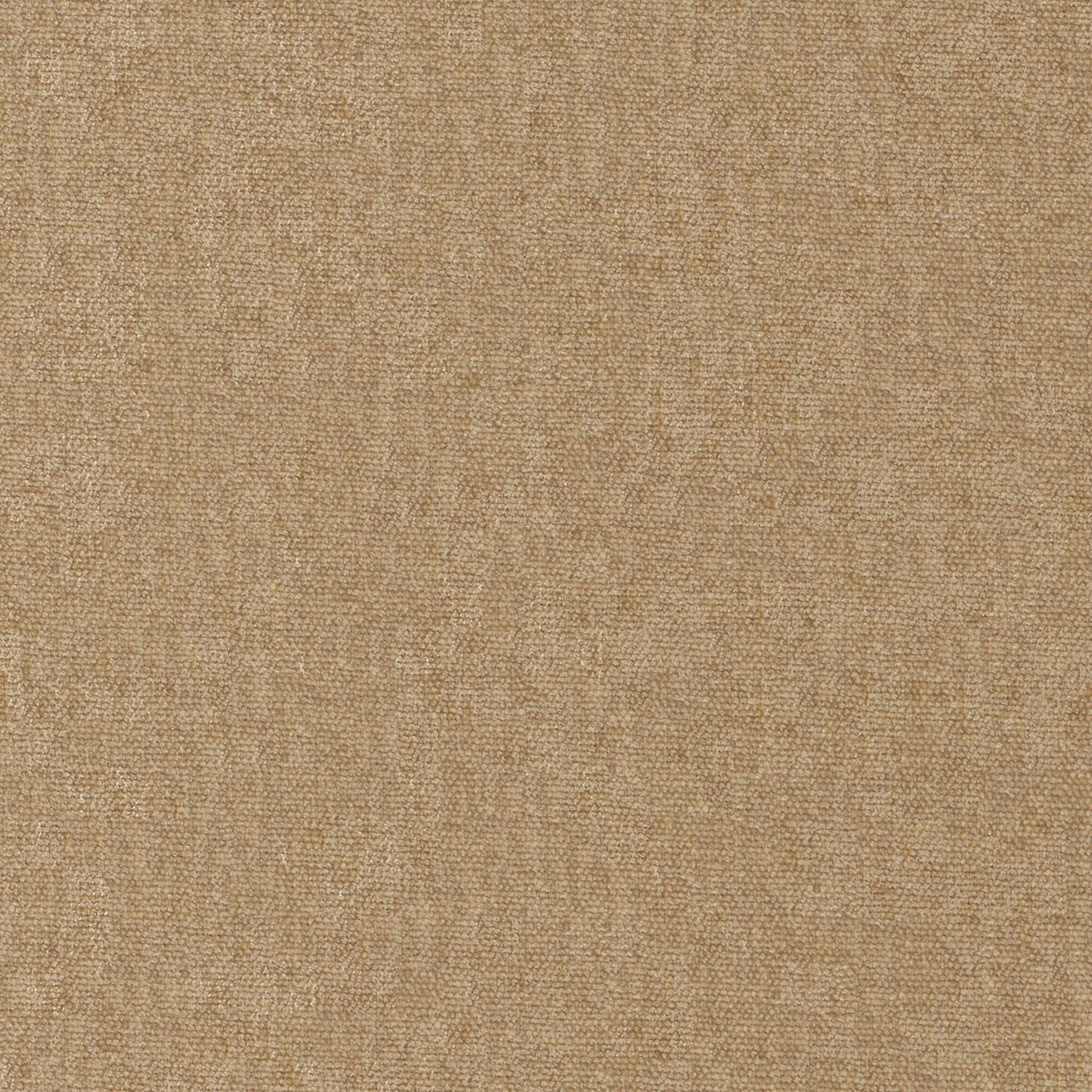 Purchase Maxwell Fabric - Conte, # 951 Buff