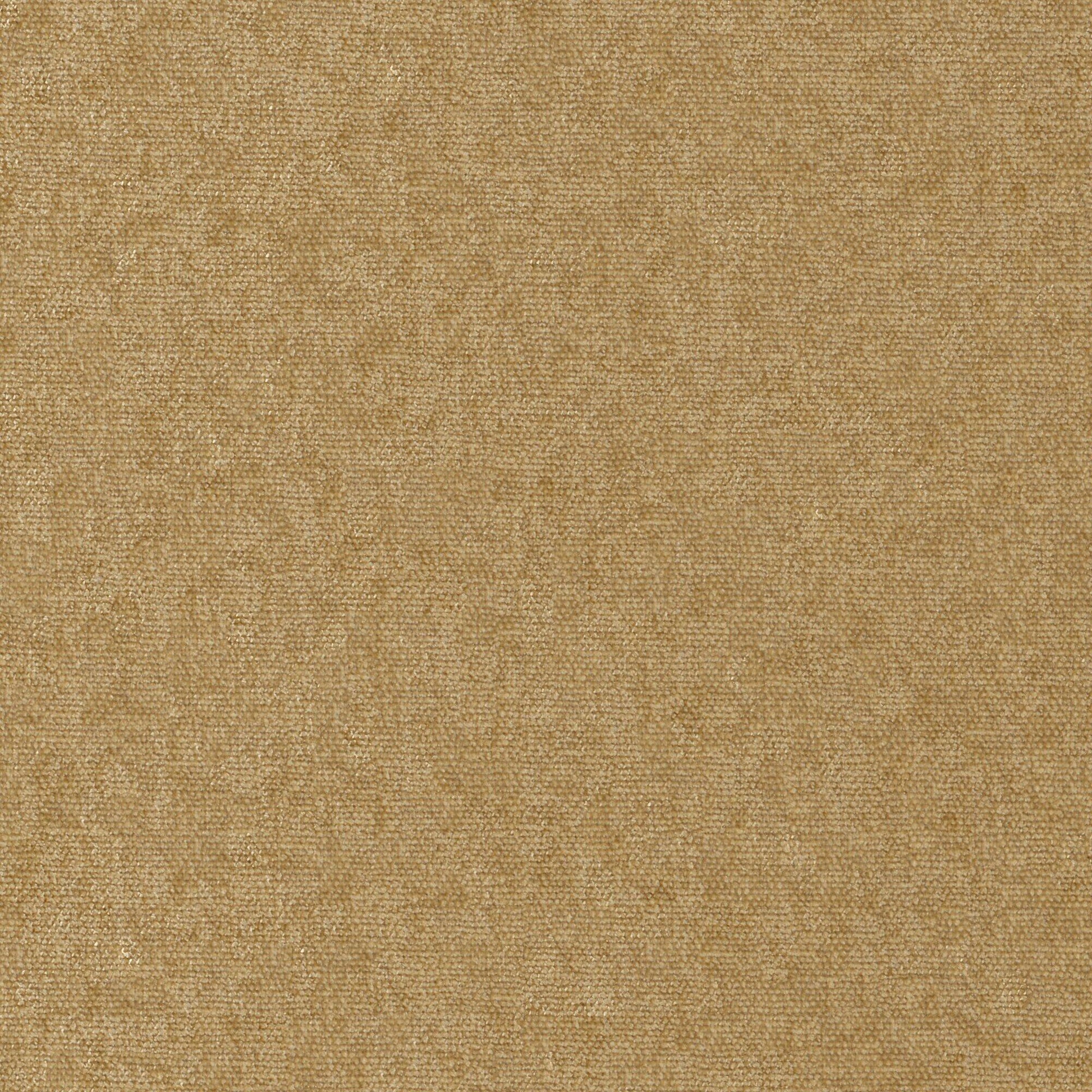 Purchase Maxwell Fabric - Conte, # 952 Antelope