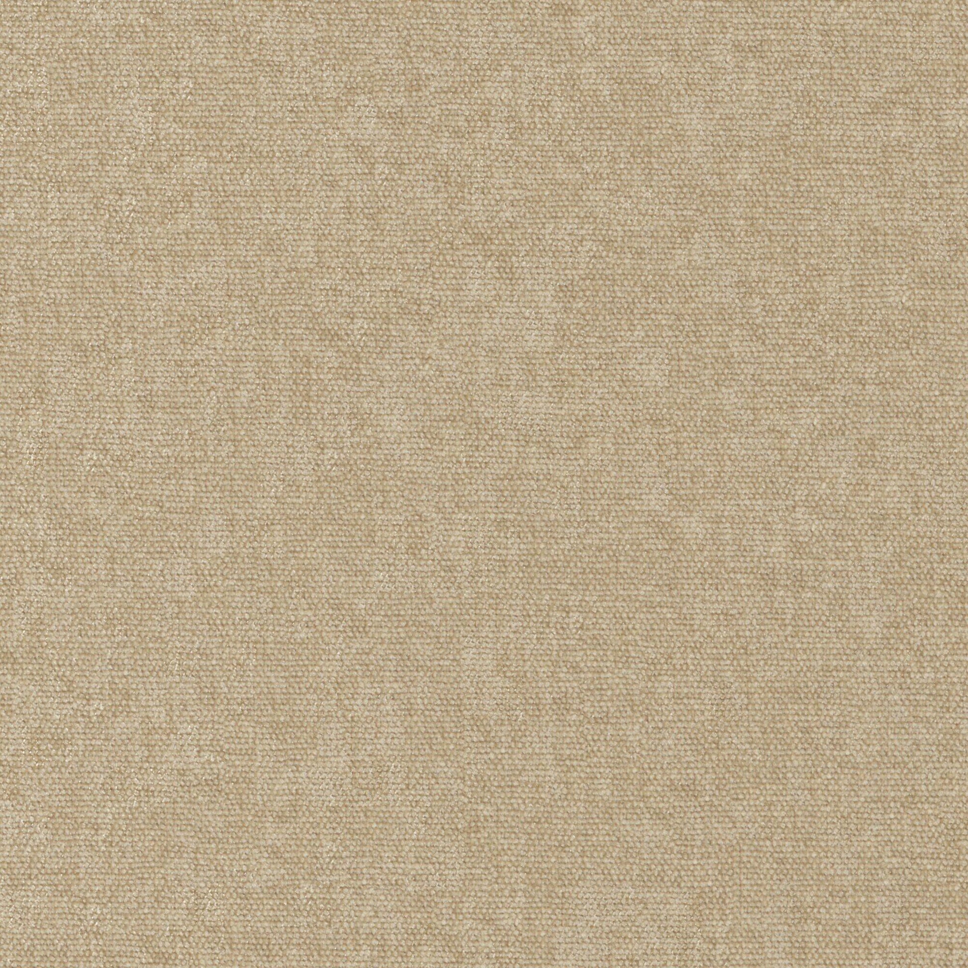 Purchase Maxwell Fabric - Conte, # 954 Fresco