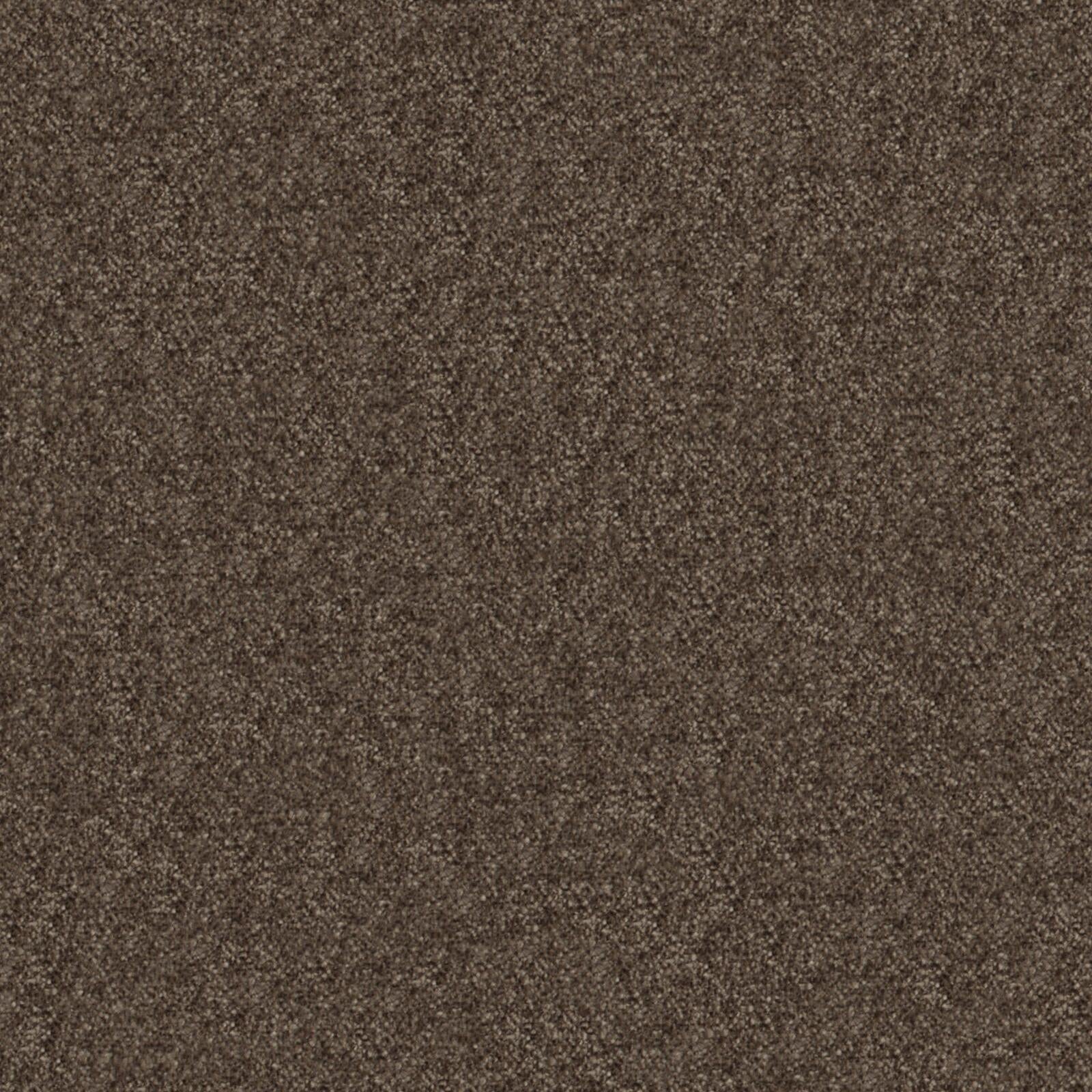 Purchase Maxwell Fabric - Calabria, # 442 Beaver