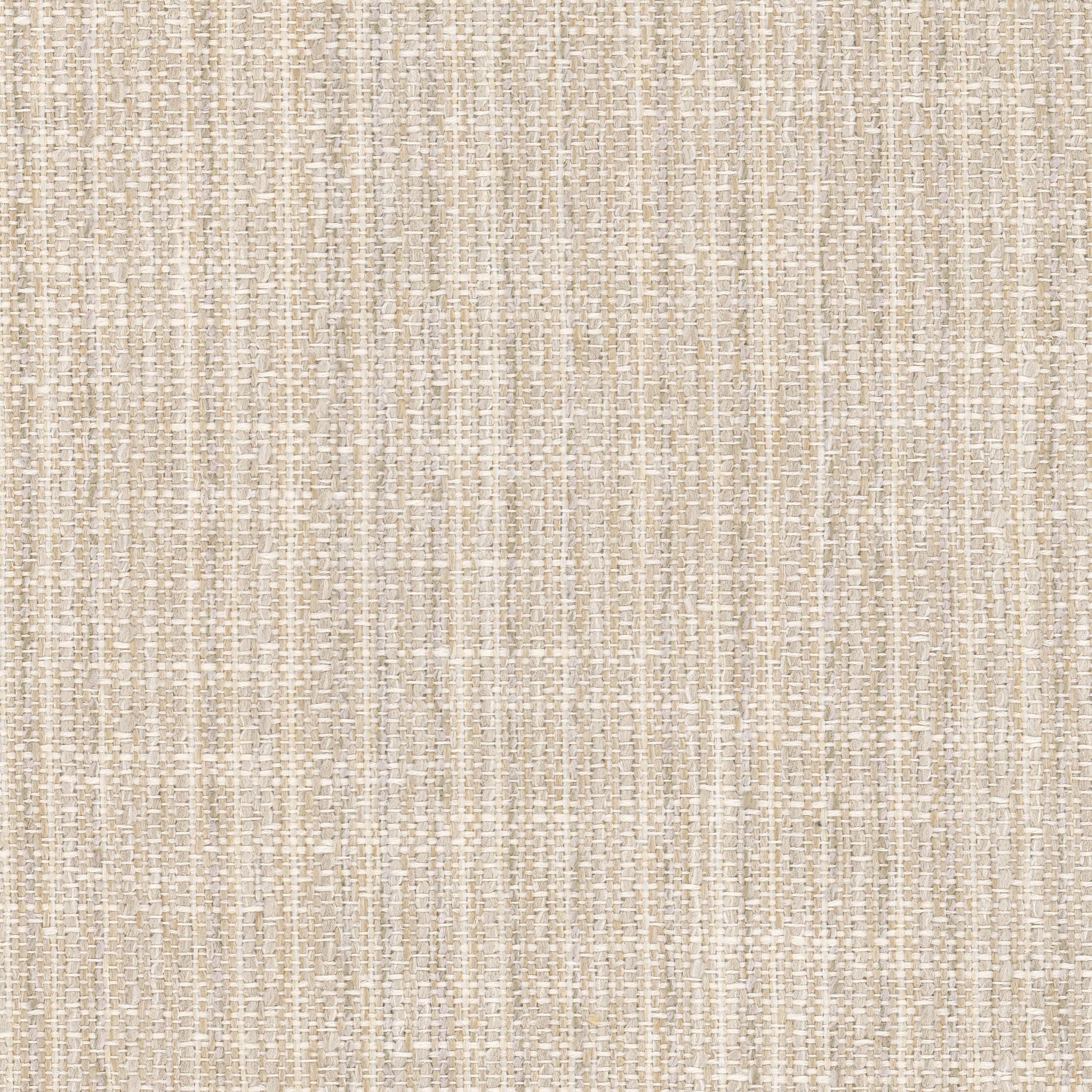 Purchase Stout Fabric Pattern Clone 1 Champagne