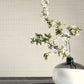 Purchase Cod0633 | Candice Olson Luminous, Drift Weave - Candice Olson Wallpaper