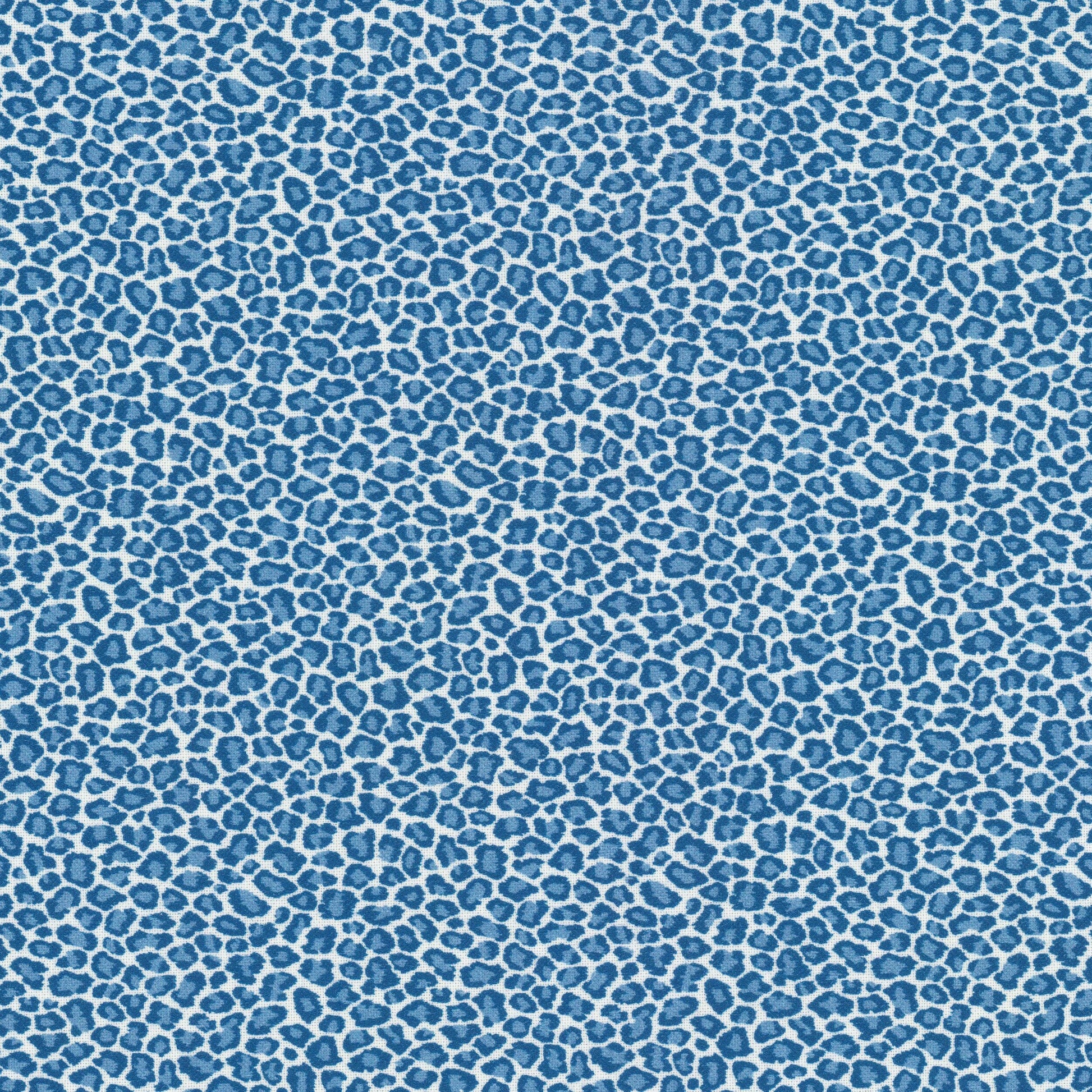 Purchase Stout Fabric SKU# Copycat 1 Bluebird