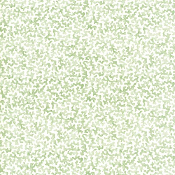 Purchase Coralcoast-30 Coralcoast, Small Scale Prints - Kravet Basics Fabric - Coralcoast.30.0