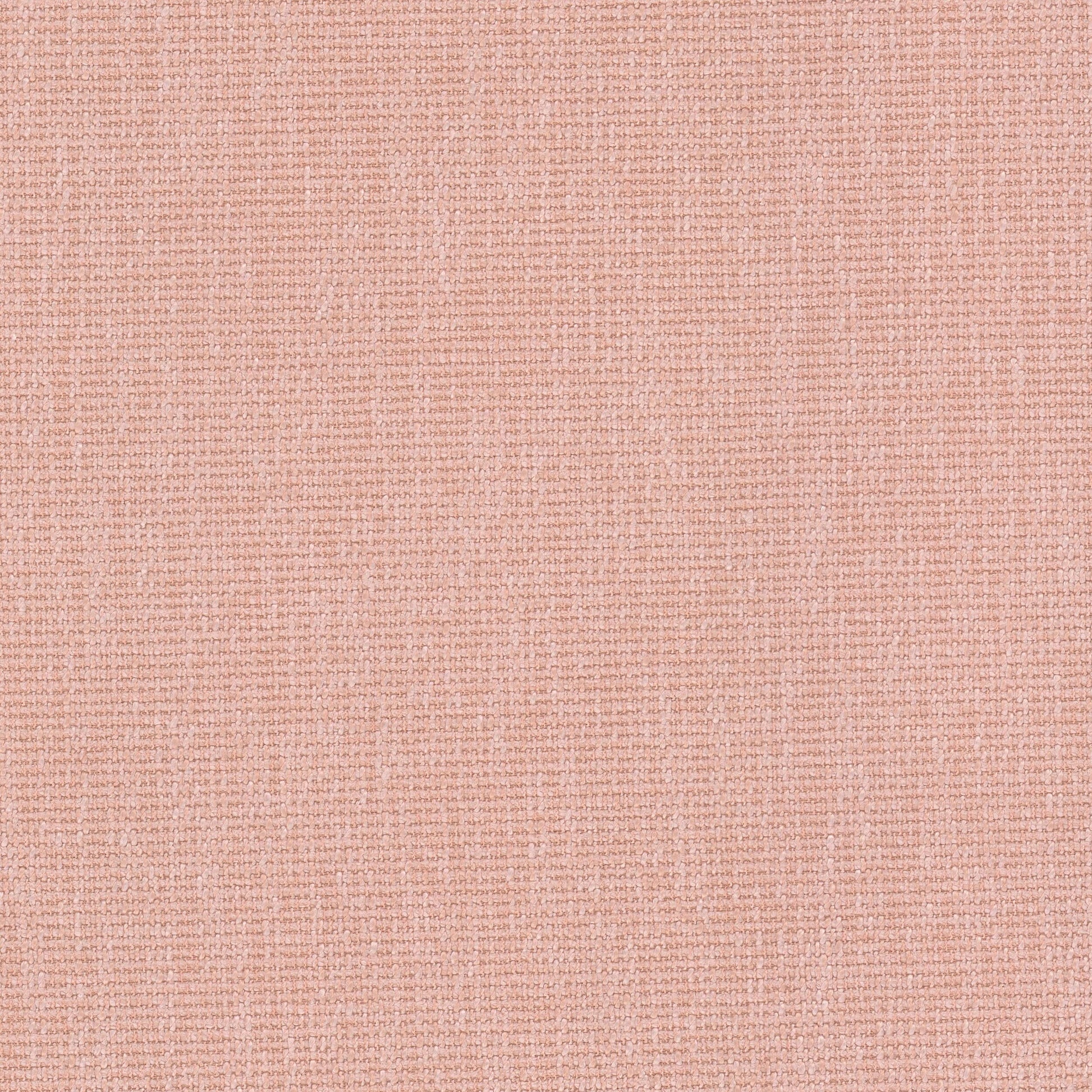 Purchase Stout Fabric SKU Credence 12 Shrimp