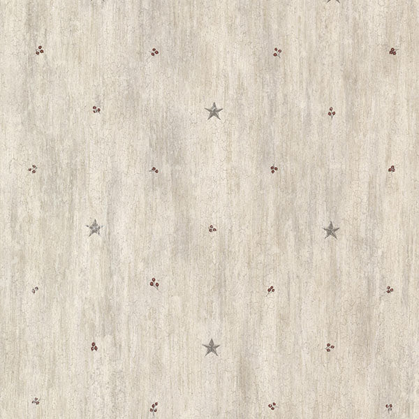 Purchase CTR090611 Countryside Grey Chesapeake