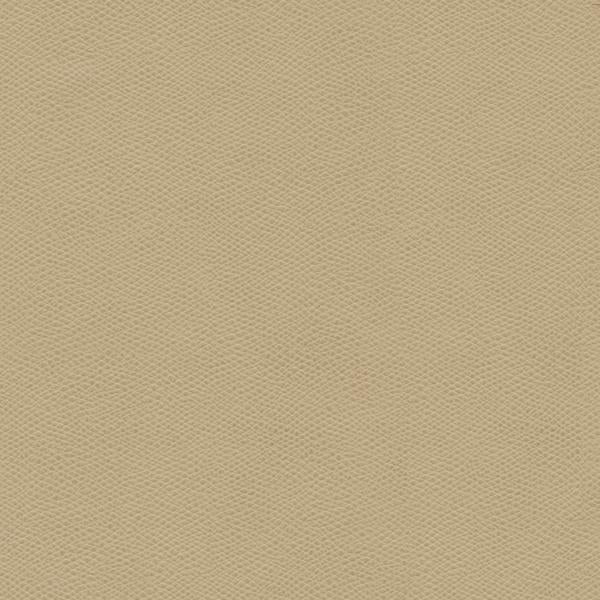 Sample - Cured.106.0 | Kravet Design, Faux Leather Iv - Kravet Design Fabric