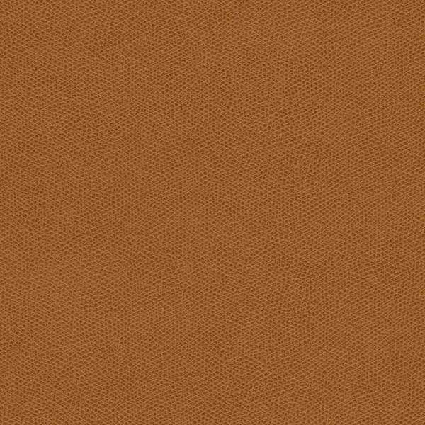 Sample - Cured.6.0 | Kravet Design, Faux Leather Iv - Kravet Design Fabric