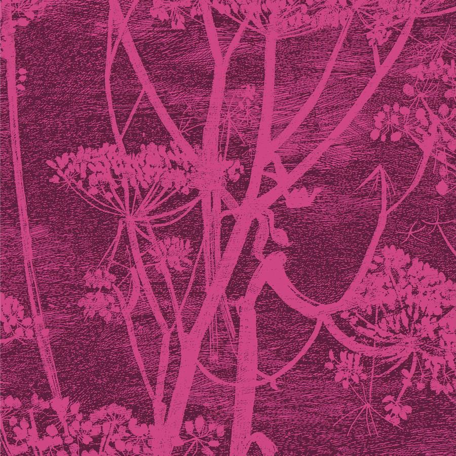 Sample - F111/5017 | Cow Parsley, Cole and Son Contemporary Fabrics - Cole and Son Fabric - F111/5017.Cs.0