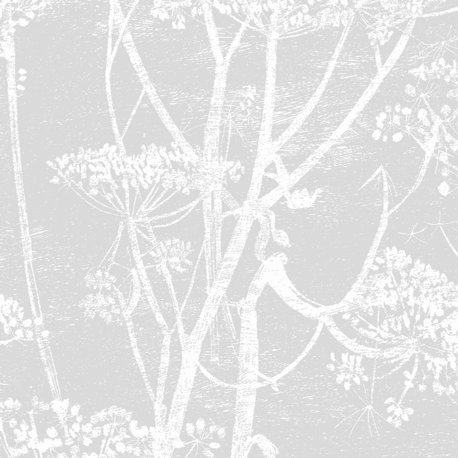 Sample F111-5021 Cow Parsley Soft Grey by Cole and Son Fabric